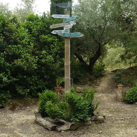 Casa Rural Torre De Campos Ainzon Buitenkant foto